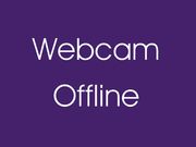 Live Webcam